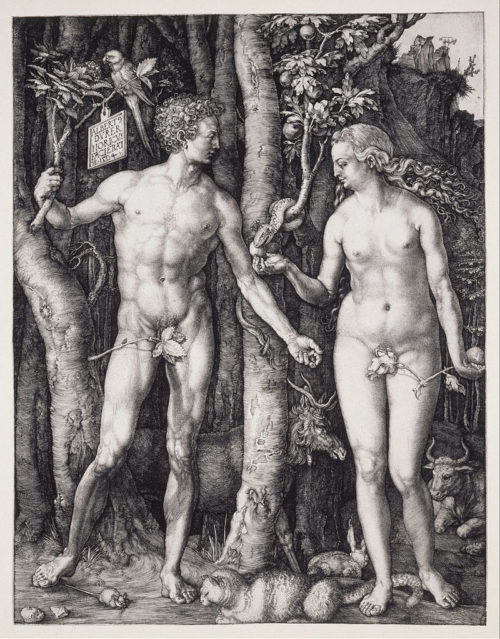 albrecht-dürer-adam-and-eve-prints