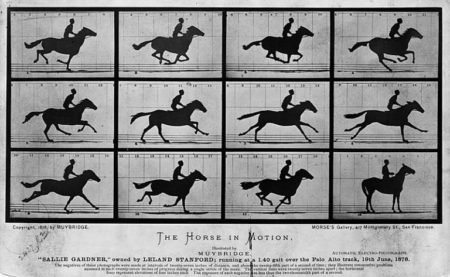 エドワード・マイブリッジ　疾走中の馬の連続写真